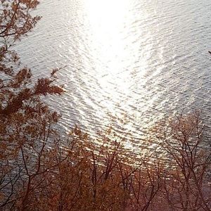 Meet your Posher, Calvin